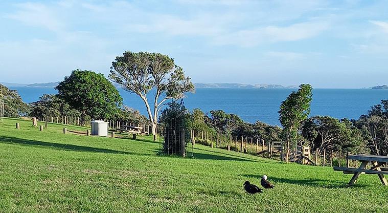 Ōmana Regional Park - Bookable site three with two ducks, a picnic table, open grassed space and views of the Hauraki Gulf.