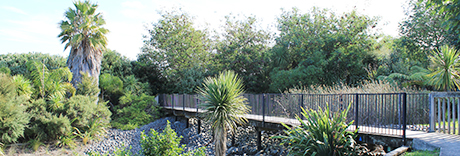 98 Pinecrest Drive