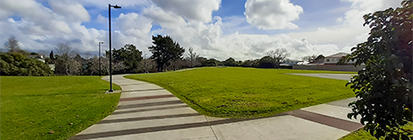 Alan Wood Reserve