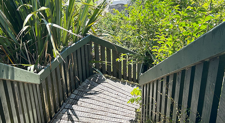 Arch Hill Scenic Reserve - Section of the steps leading down from the Great North Road entrance. Photo credit: S Hulse.