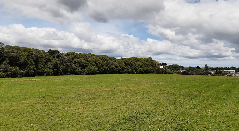 Arch Hill Scenic Reserve - Sports field with bordered by bush on the left. Photo credit: T Hodder.