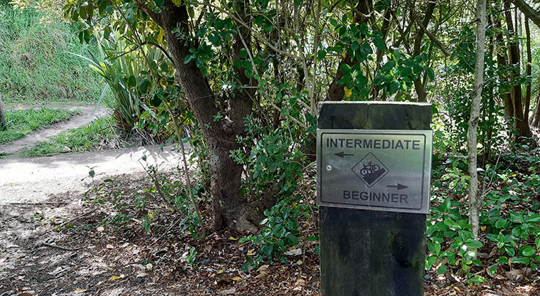 Arch Hill Scenic Reserve - Sign post showing the direction to the beginner and intermediate trails. Photo credit: T Hodder.