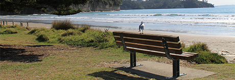 Arundel Reserve