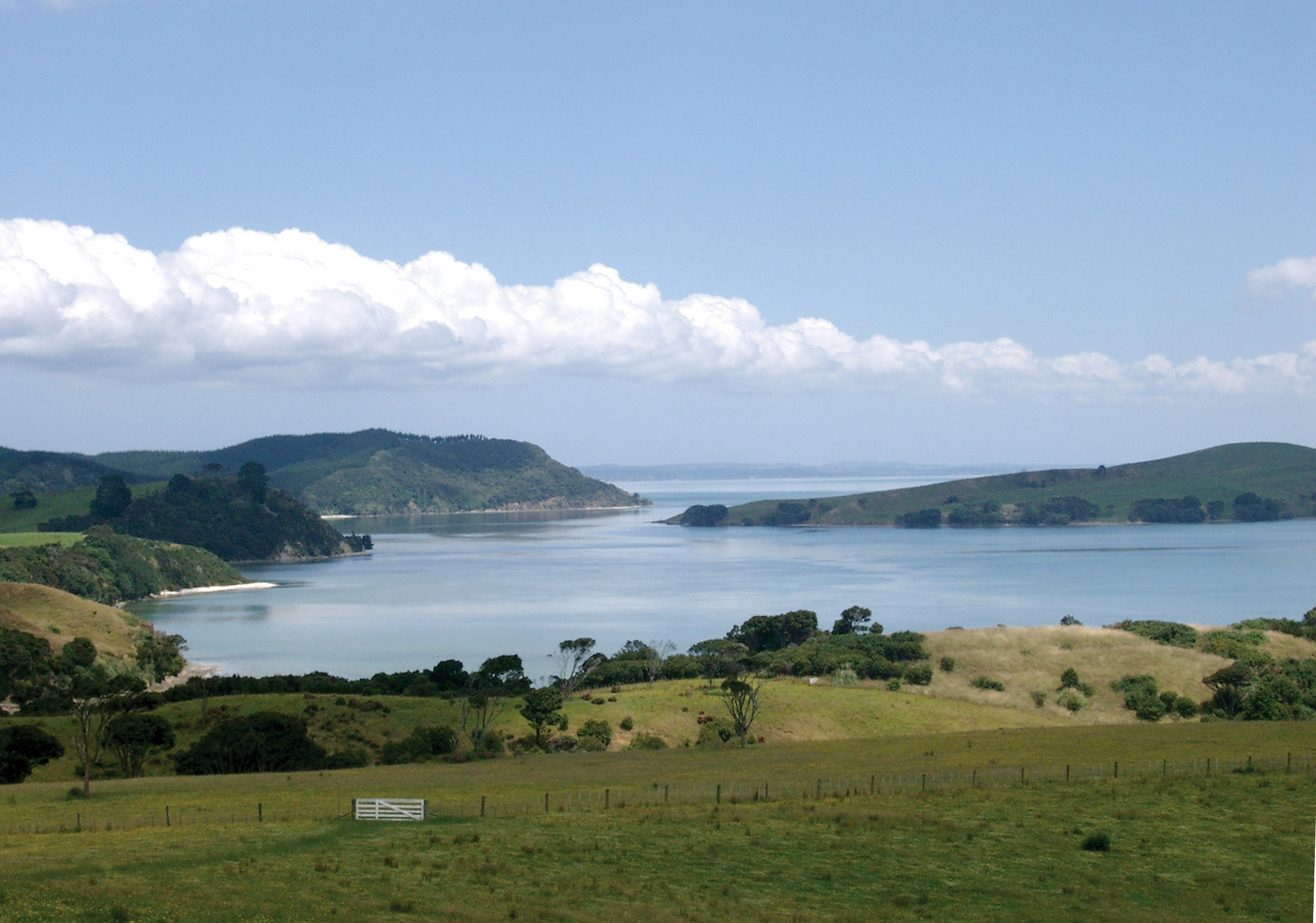 Ātiu Creek Regional Park – View of the Kaipara Harbour.