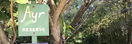 Ayr Reserve
