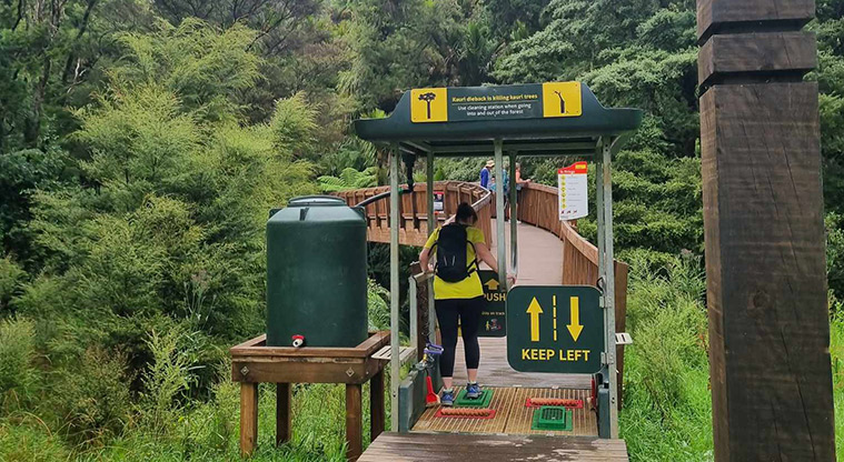 Te Piringa / Cascade Kauri, Waitākere Ranges Regional Park - Kauri dieback cleaning station at entrance to the Lower Te Piringa Walk. Photo credit: G Browne.