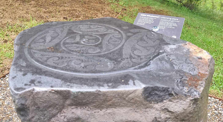 Te Piringa / Cascade Kauri, Waitākere Ranges Regional Park - Wāhi Whakanoa – cleansing place. Photo credit: G Browne.