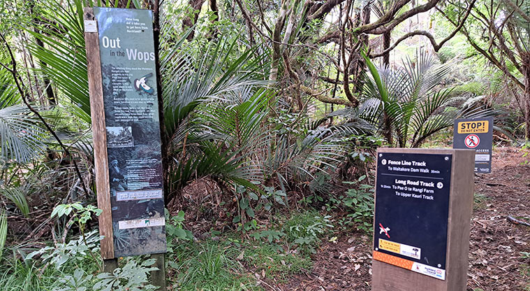 Te Piringa / Cascade Kauri, Waitākere Ranges Regional Park - Signs at the start of the Fence Line and Long Road tracks.