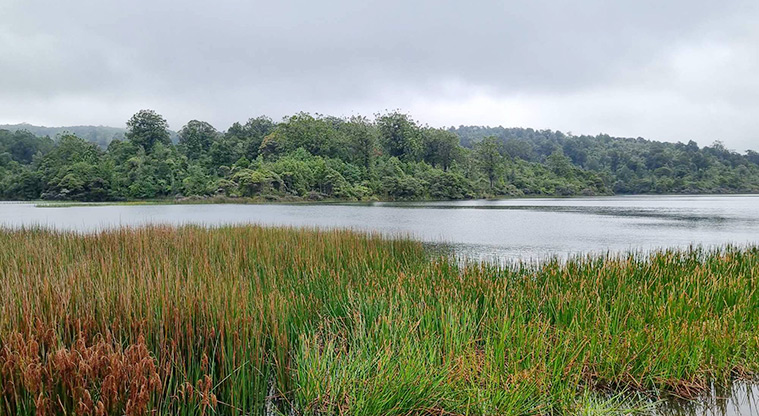 Te Piringa / Cascade Kauri, Waitākere Ranges Regional Park - Looking across the Waitākere Dam. Photo credit: G Browne.
