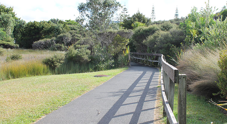 Centreway Reserve - A section of the walkway. Photo credit: M Loubser.