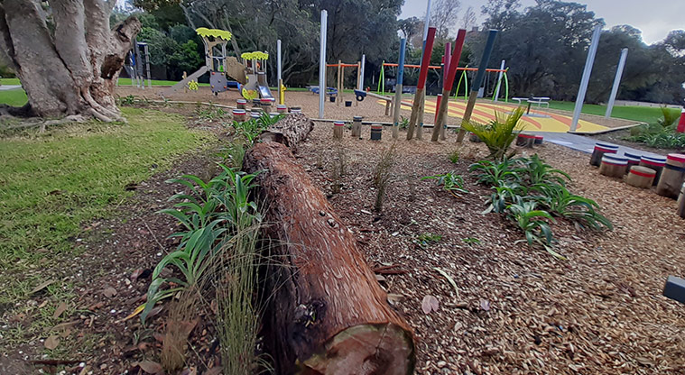 Cockle Bay Reserve - The nature section with plants and a large log, and the rest of the playground in the background.