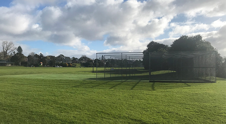 Cox's Bay Reserve - Sports fields and cricket nets.