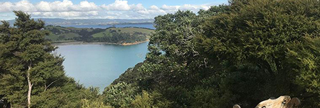 Crosby Reserve
