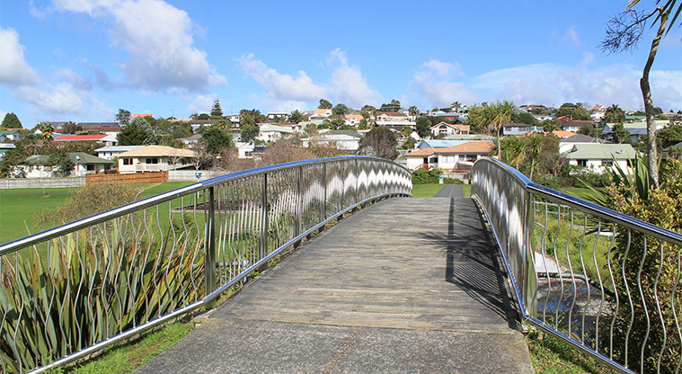 Whenua-roa / D'Oyly Reserve - Bridge by the Knott Road entrance. Photo credit: M Loubser.