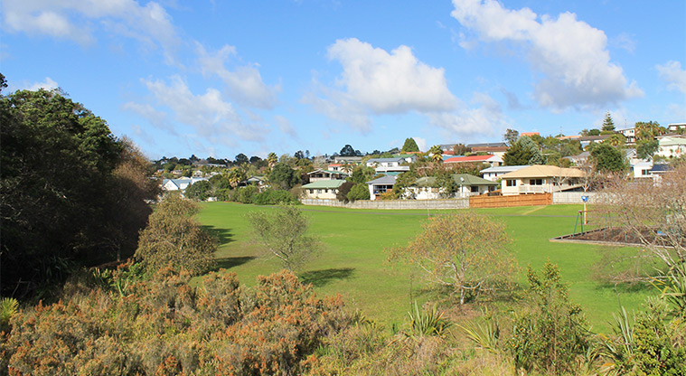 Whenua-roa / D'Oyly Reserve - Open grassed area with the playground in the background. Photo credit: M Loubser.