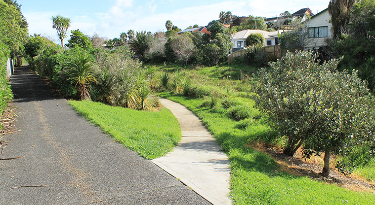 Whenua-roa / D'Oyly Reserve - Two sections of the walkway intersecting. Photo credit: M Loubser.