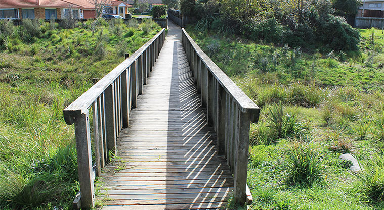 Whenua-roa / D'Oyly Reserve - Wooden bridge crossing the stream. Photo credit: M Loubser.