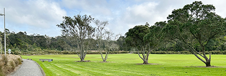 Dudding Park Sportsfield