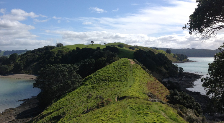 Duder Regional Park - view towards the Hunua Ranges.