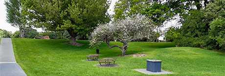 Fowlds Park