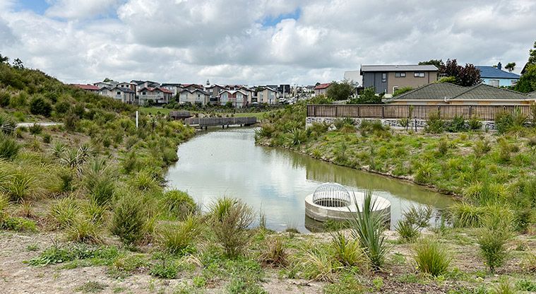 Freeland Reserve - The stormwater pond with plants on both sides and a bridge in the background. Photo credit: S Hulse.