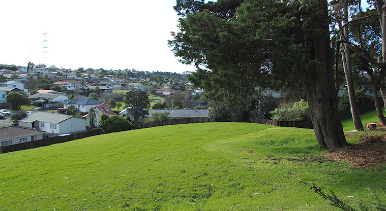 Kahikatea / Gallony Park - Open green space bordered by trees. Photo credit: Tracey Hodder.
