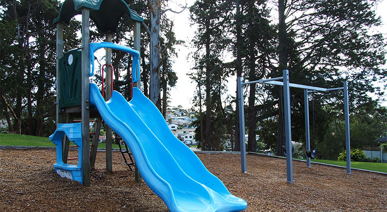 Kahikatea / Gallony Park - Playground for younger children with climbing net, ladder, two slides and two swings. Photo credit: Tracey Hodder.