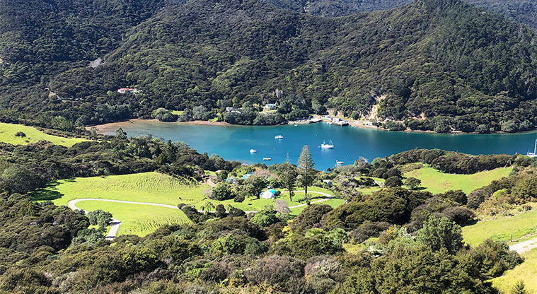 Glenfern Sanctuary Regional Parkland – Port Fitzroy with the sanctuary nestled among trees in the foreground of the bay.
