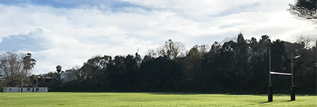 Grey Lynn Park