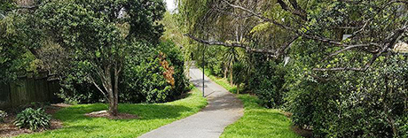Hakanoa Reserve