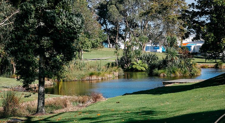 Manu-kau Noa Iho / Hyman Park - Pond and established trees in the middle of the park.