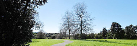 Heath Reserve