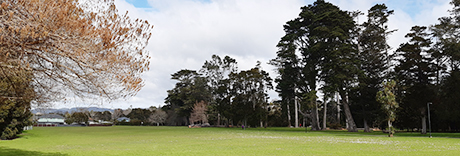 Henderson Park