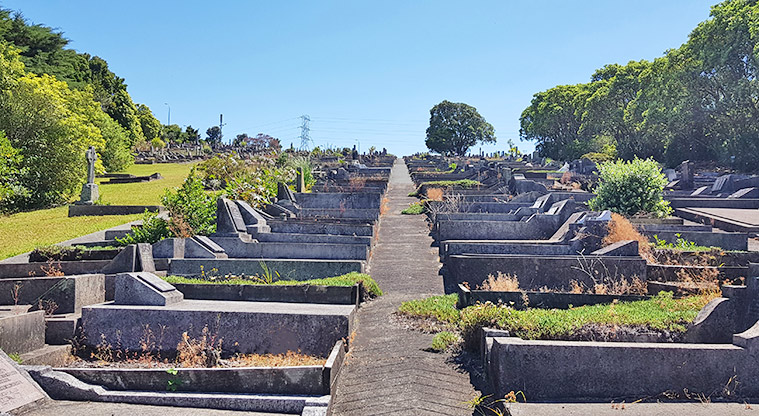 Hillsborough Cemetery – a section of plots.