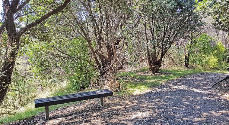 Hillsborough Cemetery – section of the path between the cemetery and the reserve.