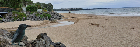 Huntly Road Reserve