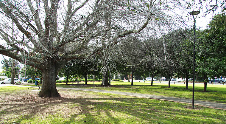 Jack Pringle Village Green - Open space with a path running down the centre and trees. Photo credit: Tracey Hodder.
