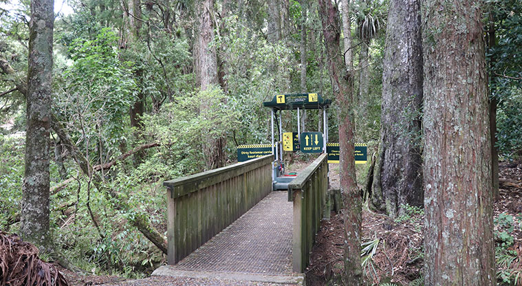 Kōwhai Park - Track entrance with a kauri dieback station.