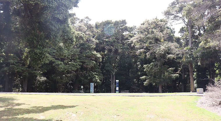 Kōwhai Park - Open grass area and section of the track network intersection north of the car park.