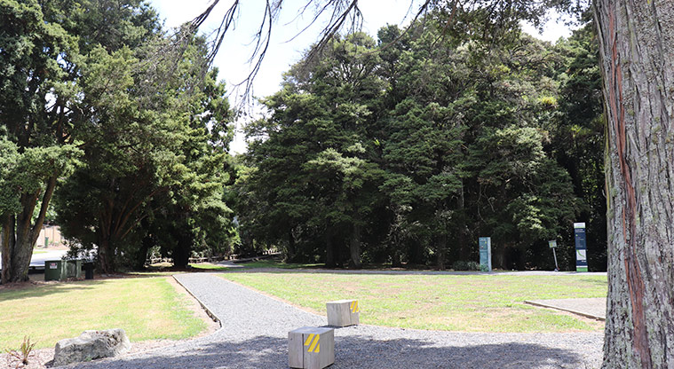 Kōwhai Park - View of picnic areas and bush from the main car park.