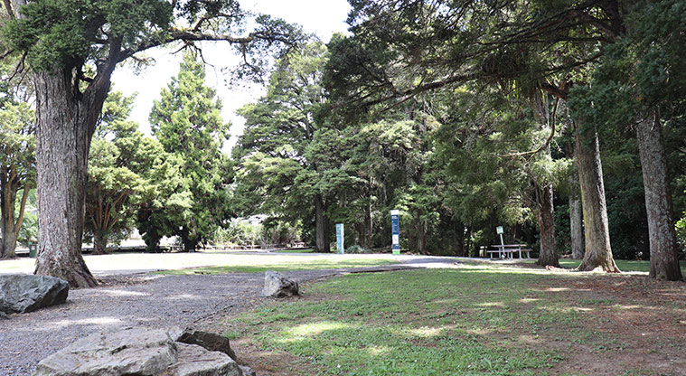 Kōwhai Park - Shaded picnic area.