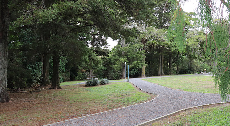 Kōwhai Park - Track intersection on the edge of grassed area.