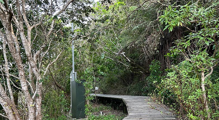 Wai Manawa / Le Roys Bush Reserve - Section of boardwalk at the Dudding Park Sportsfield entrance to the reserve. Photo credit: S Hulse.