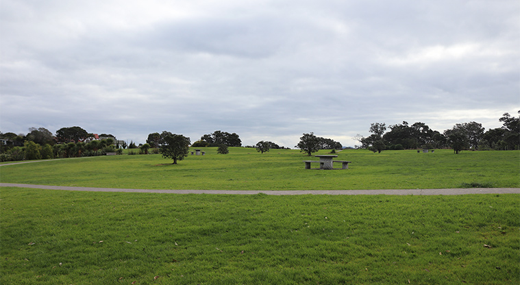 Leigh Auton Reserve - Open grassed area with picnic tables, paths and trees in the background. Photo credit: S Hulse.