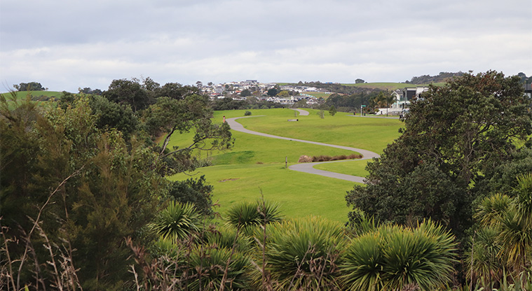 Leigh Auton Reserve - Trees with one of the paths leading through the reserve in the background. Photo credit: S Hulse.