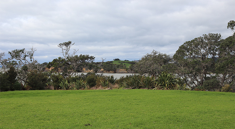 Leigh Auton Reserve - View looking across the bay to Omana Regional Park. Photo credit: S Hulse.