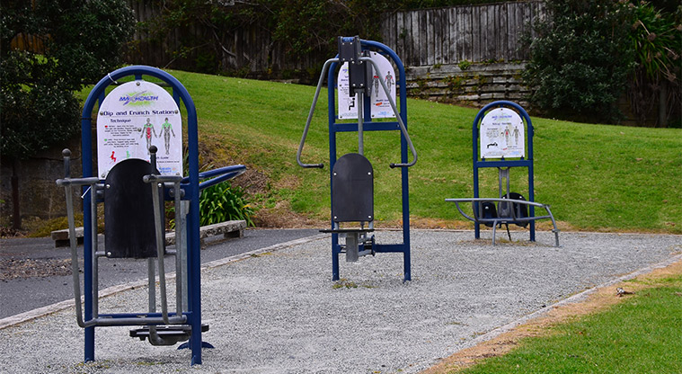 Wai Manawa / Little Shoal Bay Reserve - Group of three pieces of fitness equipment near the playground. Photo credit: Aleksandar Ćirilović.