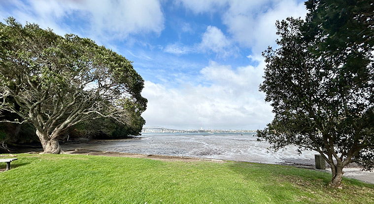 Wai Manawa / Little Shoal Bay Reserve - View across Little Shoal Bay with the harbour bridge in the distance. Photo credit: S Hulse.