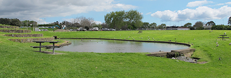 Lloyd Elsmore Park