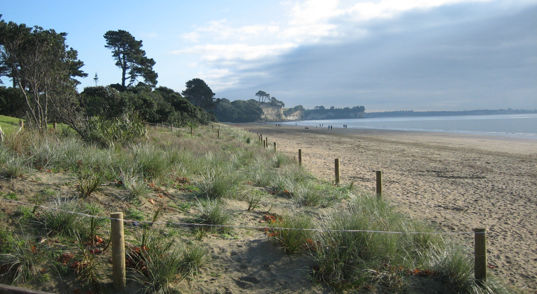 Long Bay Regional Park - main beach.